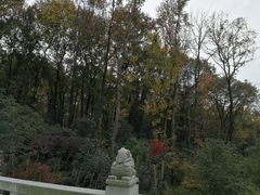 -南京东郊国宾馆
