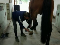 -松声马术俱乐部