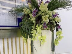 -泰康拜博口腔(世博园乐尔店)