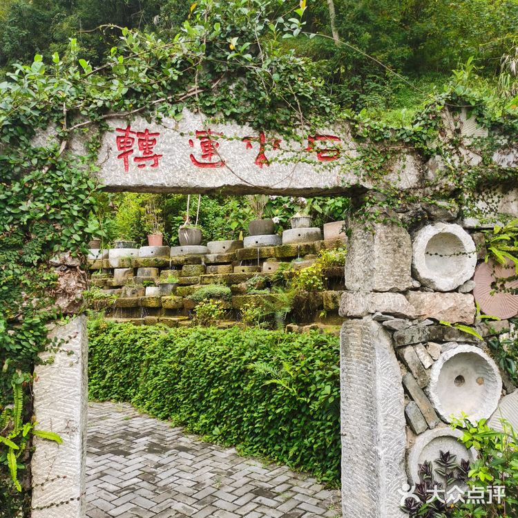 靖西∽游记🌾鹅泉风景区