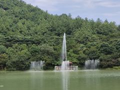 -广州白江湖森林公园