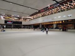 -TheRink大零溜冰场(IFS国金中心店)