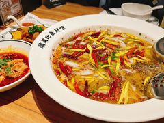-太二酸菜鱼(汕头苏宁广场店)