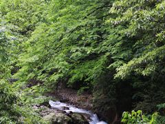 -西岭雪山大飞水景区