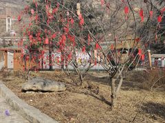 -爱情山风景区