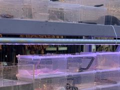 -中环花鸟鱼虫市场