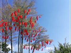 -深圳湾公园(南山区)