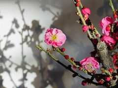 -颐和园