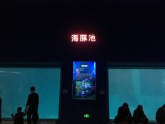 -福州罗源湾海洋世界旅游区