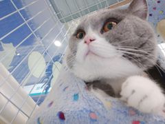 -安安宠医·安宠宠物医院