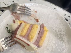 -gaga(深圳南山益田假日广场店)