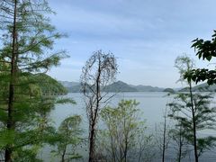 -青山湖景区