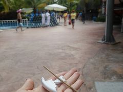 -亚马逊丛林水乐园