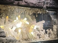 -湖南省地质博物馆