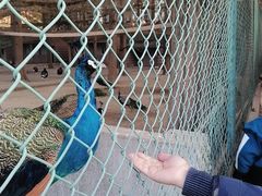 -南京金牛湖风景区