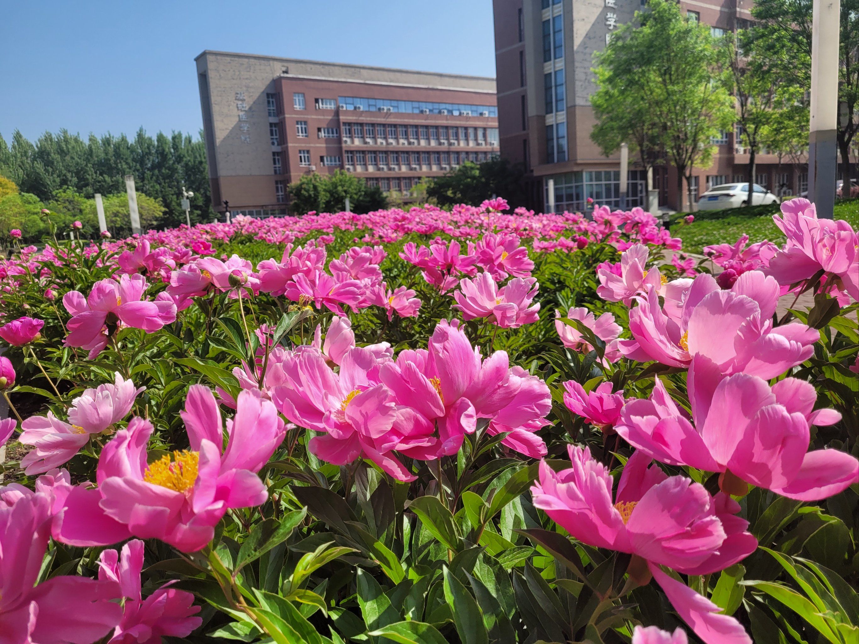 夏天是最热烈的季节