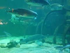 -华夏文旅西安度假区