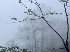 -萍乡武功山风景名胜区