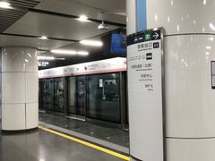 -大望路(地铁站)