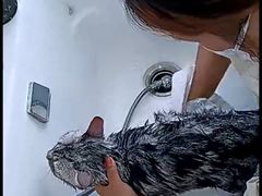 -爱洗澡的猫(望京店)