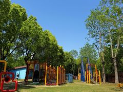 -上海海湾国家森林公园