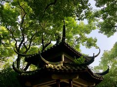 -瀛洲公园