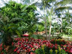 -北京植物园-展览温室