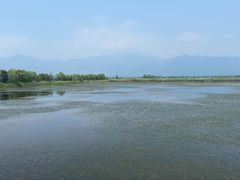 -野鸭湖国家湿地公园