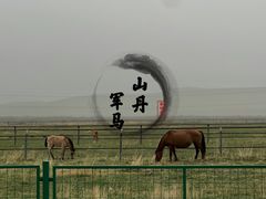 -山丹皇家马场