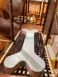 -卡通尼·Safari非洲探索乐园·生日会(金桥国际商业广场店)