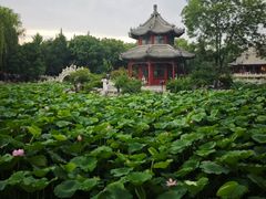 -莲池书院博物馆