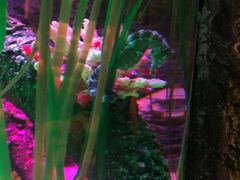 -沈阳海洋探索中心