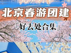 -沉浸北京·团建旅行·密室剧本杀·年会会议轰趴拓展