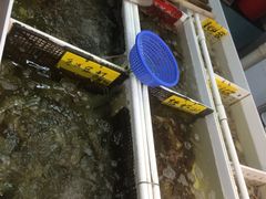 -华源餐厅·海鲜大排档(日月贝店)