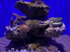 -青岛海底世界-水族馆
