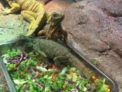 -福州罗源湾海洋世界旅游区