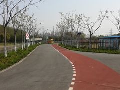 -上海长兴岛郊野公园