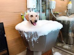 -PETKIT小佩宠物(古北店)