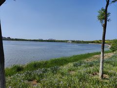 -天津东丽湖风景区