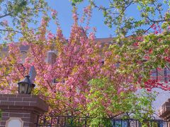 -天津五大道文化旅游区