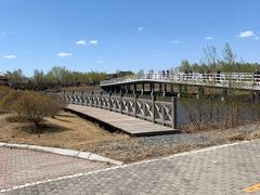 -呼兰河口湿地公园