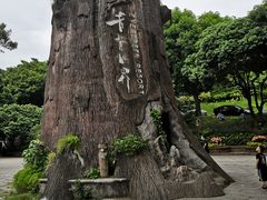 -青青世界