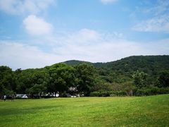 -雨花胜境