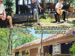 -沂蒙山旅游区云蒙景区(蒙山国家森林公园)