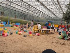 -西部长青自然儿童乐园