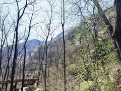 -大岭沟猕猴桃谷风景区