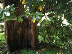 -Patek Philippe百达翡丽(上海源邸店)