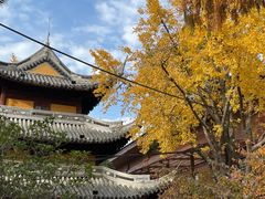 -龙华寺