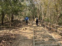 -上海佘山国家森林公园天马山园