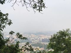 -火炉山森林公园